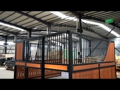 Box per cavalli europei completamente personalizzabili Materiale resistente alla corrosione