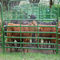 Pannelli rotondi del recinto per bestiame del recinto della penna dei pannelli portatili delle pecore/pannelli d'acciaio del recinto del bestiame