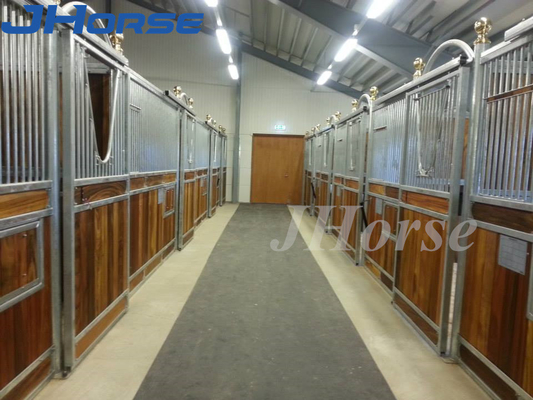 Il cavallo rivestito dell'euro della polvere blocca i pannelli 4.2m o su misura