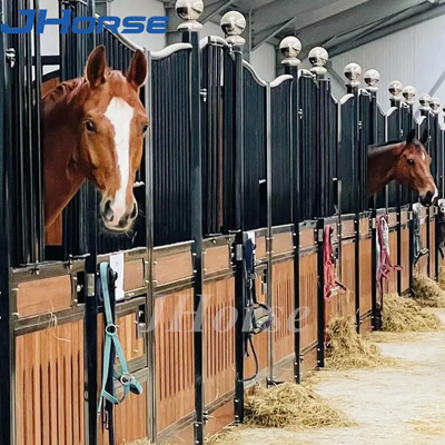 L'azienda agricola che monta il cavallo europeo blocca facilmente l'Assemblea equina su ordinazione di altezza dei granai 2.2m