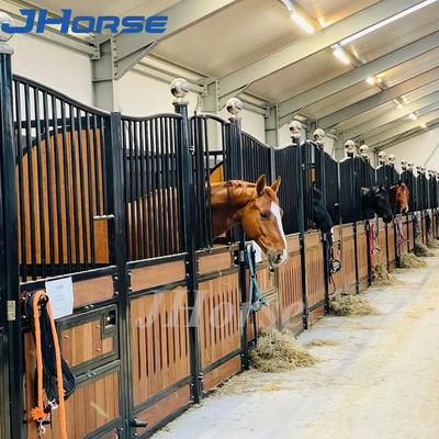 La stalla stabile della scatola del cavallo europeo resistente di stile fronteggia la lunga vita di 3.6m