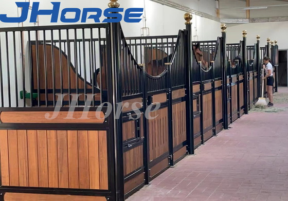 La stalla del cavallo da 14 piedi fronteggia la struttura di bambù galvanizzata immersa calda durevole