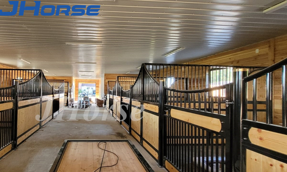 Scatola di cavallo pesante stabile con design sicuro e rivestimento in polvere