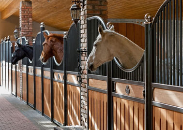 Il cavallo europeo della parte posteriore interna del solido blocca 12 l'altezza dei piedi di lunghezza 220cm