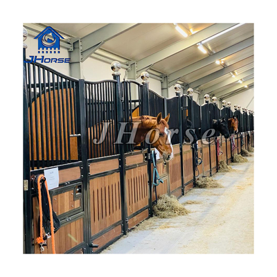 Sostenibile a cavallo con rivestimento galvanizzato resistente alla corrosione