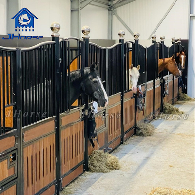 Cavallo moderno o personalizzato Sicurezza stabile e design sicuro Alta durata Materiale di riempimento in legno di plastica da 20 mm